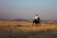 Ampliar caballo.jpg