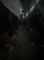 Ver galeria Halloween 2021