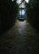 Ver galeria Halloween 2021