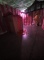 Ver galeria Halloween 2021
